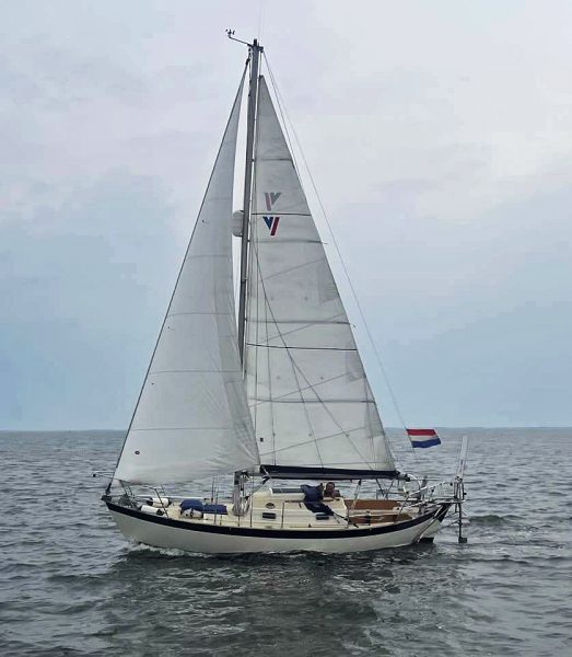 frances 26 sailboat for sale