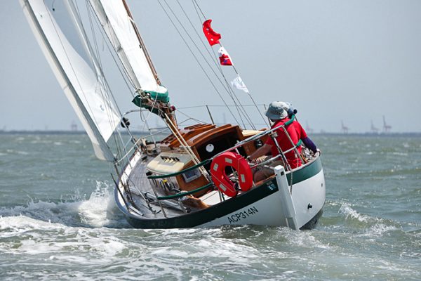 frances 26 sailboat for sale