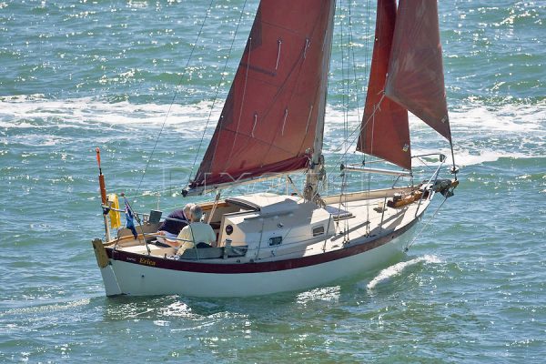 frances 26 sailboat for sale